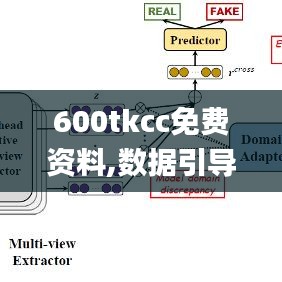 600tkcc免费资料,数据引导设计策略_RX版9.805