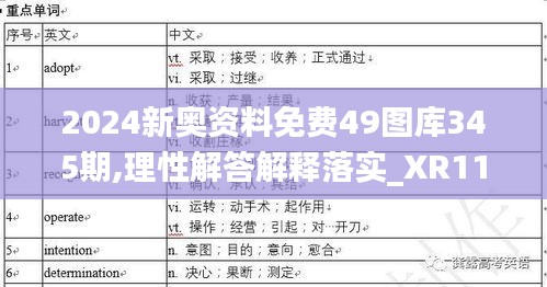 2024新奥资料免费49图库345期,理性解答解释落实_XR110.267