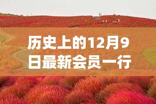 探寻自然美景之旅，12月9日启程，寻找内心的桃花源新会员专享之旅