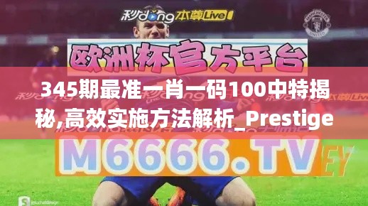 345期最准一肖一码100中特揭秘,高效实施方法解析_Prestige5.937