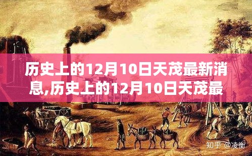 历史上的12月10日天茂最新消息详解，步骤指南与最新动态