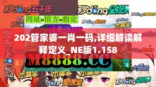 202管家婆一肖一码,详细解读解释定义_NE版1.158