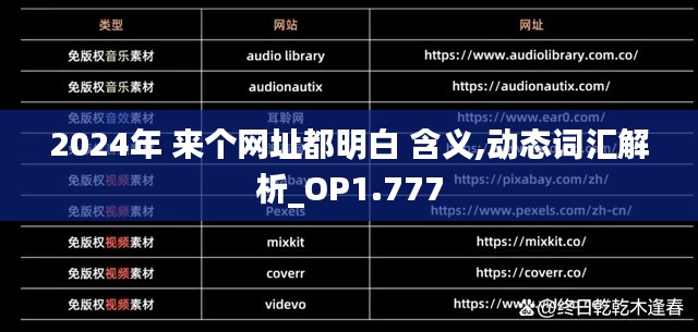 2024年 来个网址都明白 含义,动态词汇解析_OP1.777