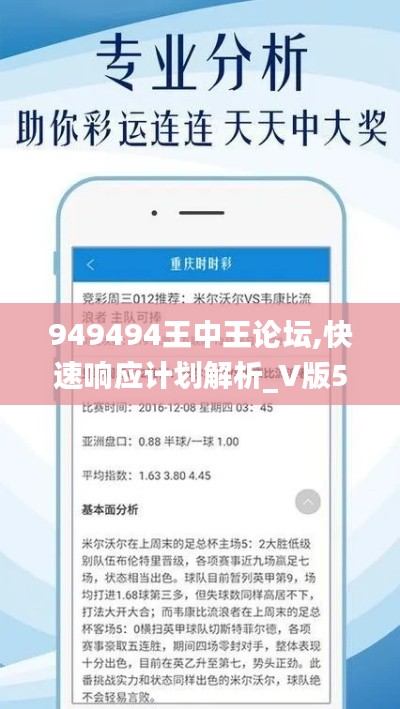 949494王中王论坛,快速响应计划解析_V版5.356