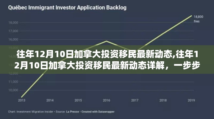 往年12月10日加拿大投资移民最新动态全解析，申请步骤详解与最新动态探讨