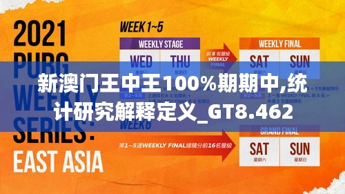 新澳门王中王100%期期中,统计研究解释定义_GT8.462