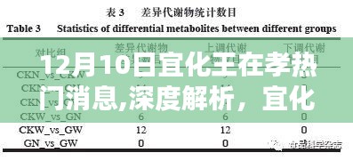 宜化王在孝产品深度解析与评测，产品特性、用户体验与目标用户群体分析——最新热门消息速递