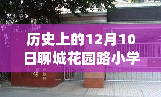 聊城花园路小学，温馨冬日里的日常趣事与历史印记