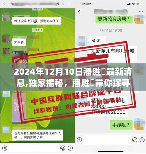 独家揭秘，潘胜燊带你探寻特色小店新奇之旅——2024年12月10日潘胜燊最新消息曝光