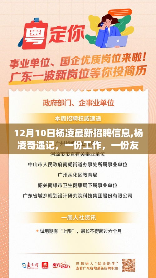 杨凌奇遇记，最新招聘与友情交织的温馨故事