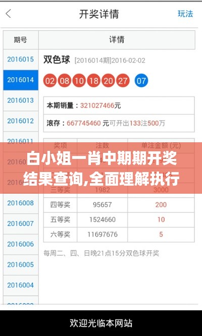 白小姐一肖中期期开奖结果查询,全面理解执行计划_交互版10.655