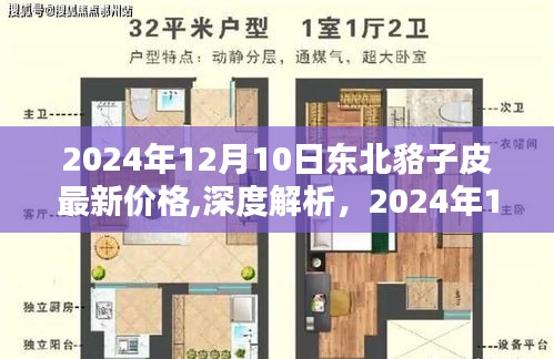 2024年12月10日东北貉子皮最新价格深度解析，价格、特性、用户体验与目标用户群体分析