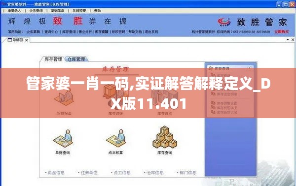管家婆一肖一码,实证解答解释定义_DX版11.401