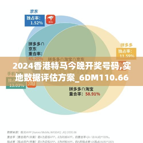 2024香港特马今晚开奖号码,实地数据评估方案_6DM110.666