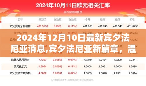 宾夕法尼亚新篇章，温馨日常与友谊的熠熠闪光（2024年12月10日最新消息）