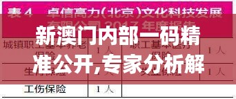 新澳门内部一码精准公开,专家分析解释定义_投资版8.446