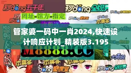 管家婆一码中一肖2024,快速设计响应计划_精装版3.195