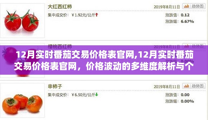 12月实时番茄交易价格表官网全面解析，多维度分析价格波动与个人立场探讨