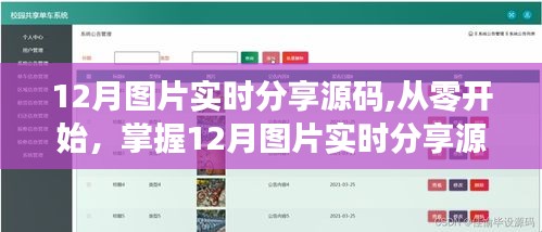 掌握12月图片实时分享源码，详细步骤指南与源码分享