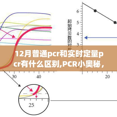 普通PCR与实时定量PCR的奇妙差异，揭秘PCR小奥秘的旅程