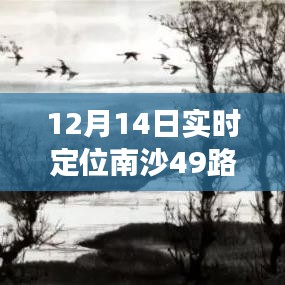 南沙49路深度探索之旅，实时定位之旅（12月14日）