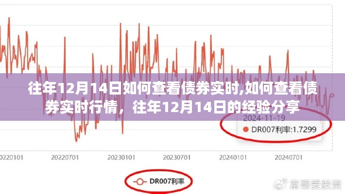 往年12月14日债券实时行情查看经验分享，如何快速获取债券实时行情数据？