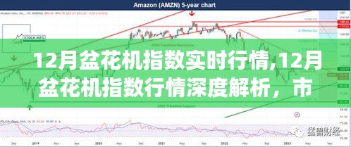 12月盆花机指数深度解析，实时行情、市场脉络与未来展望