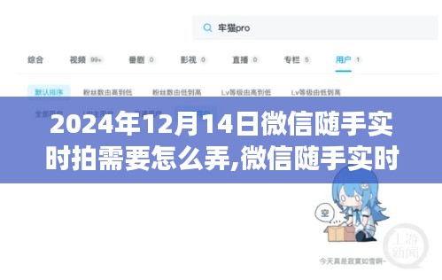 微信随手实时拍功能使用指南（最新教程，适用于2024年12月）