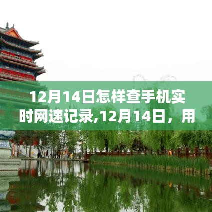 12月14日，掌中网速记录下的自然美景探索之旅