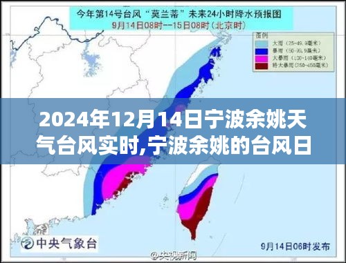 宁波余姚台风日，爱与陪伴的力量及实时天气更新