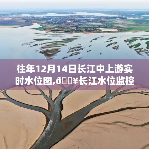 揭秘长江中上游水位动态，智能实时水位图系统监控新星，展示往年12月14日水位图