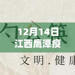 江西鹰潭疫情实时地图，科技守护家园的精准防线（12月14日更新）