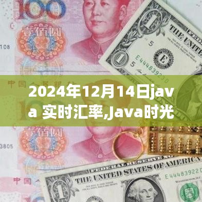 Java时光里的汇率背后的故事，实时汇率转换与温馨故事，2024年12月14日。