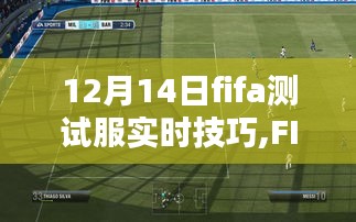 FIFA测试服实战技巧揭秘，电竞时代的里程碑篇章（12月14日更新）