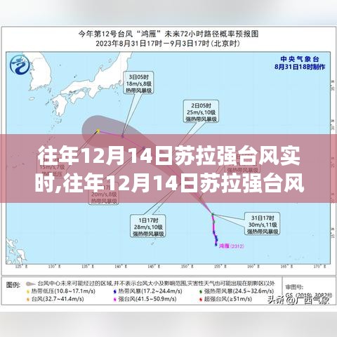 往年12月14日苏拉强台风实时，影响与应对策略分析