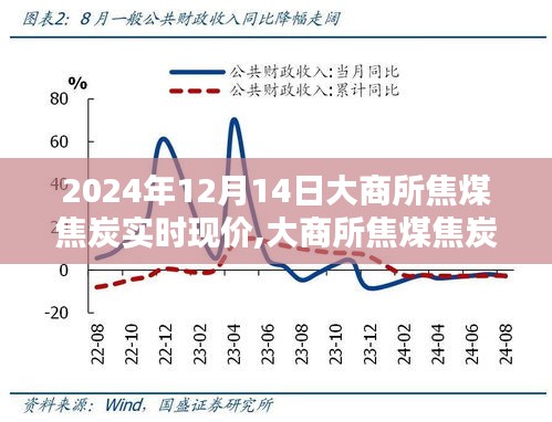 大商所焦煤焦炭实时现价动态，行业焦点聚焦下的市场走势（2024年12月14日）