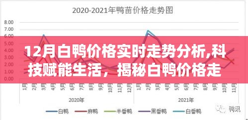 科技赋能生活，揭秘白鸭价格走势背后的智能分析系统——最新白鸭价格实时走势分析体验报告