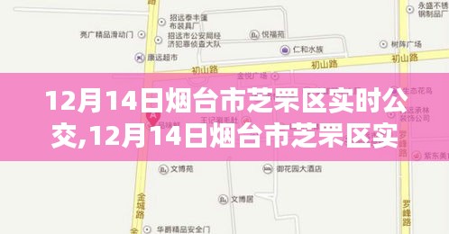 12月14日烟台市芝罘区实时公交信息，掌握公交动态，出行好帮手