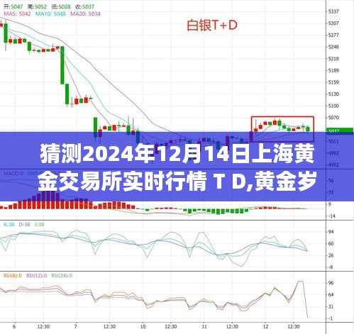 揭秘上海黄金交易所行情，黄金岁月与一家人的日常