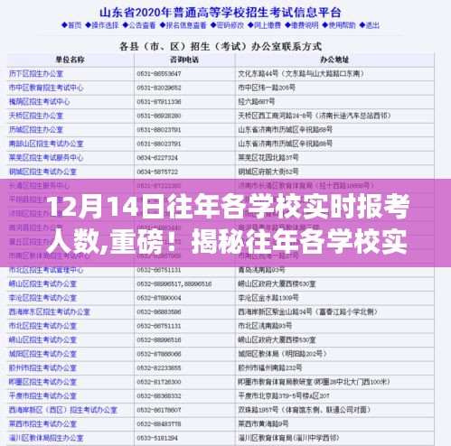 揭秘往年各学校实时报考人数背后的真相，12月14日报考大战纪实