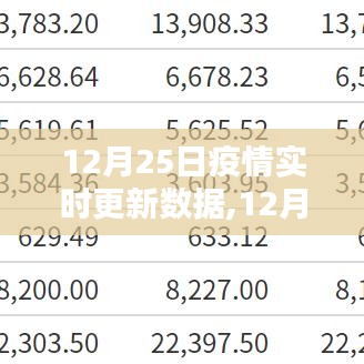 2024年12月17日 第6页