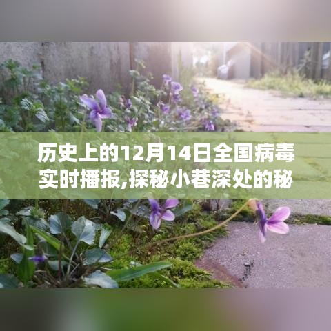 探秘历史十二月十四日全国病毒播报与独特小店的奇缘日