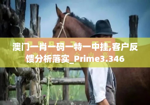 澳门一肖一码一特一中挂,客户反馈分析落实_Prime3.346