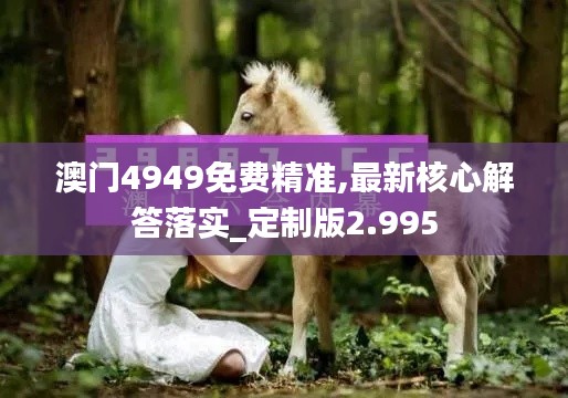 澳门4949免费精准,最新核心解答落实_定制版2.995