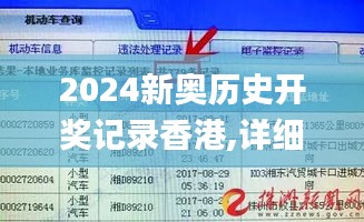 2024新奥历史开奖记录香港,详细解读解释落实_微型版5.312