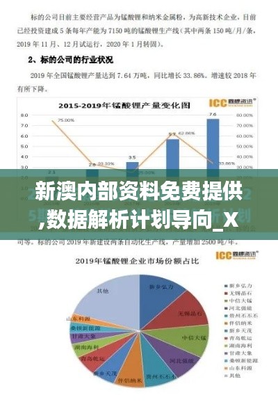 新澳内部资料免费提供,数据解析计划导向_XE版5.208