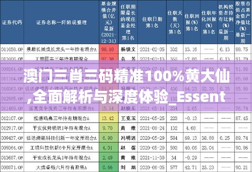 澳门三肖三码精准100%黄大仙,全面解析与深度体验_Essential7.969