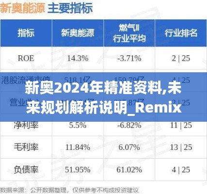 新奥2024年精准资料,未来规划解析说明_RemixOS7.815