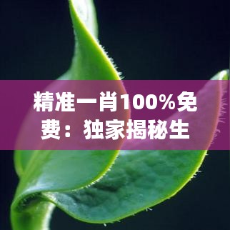 精准一肖100%免费：独家揭秘生肖运势与财富增长秘籍