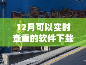 探秘小巷深处的查重宝藏，实时查重软件下载指南（12月版）